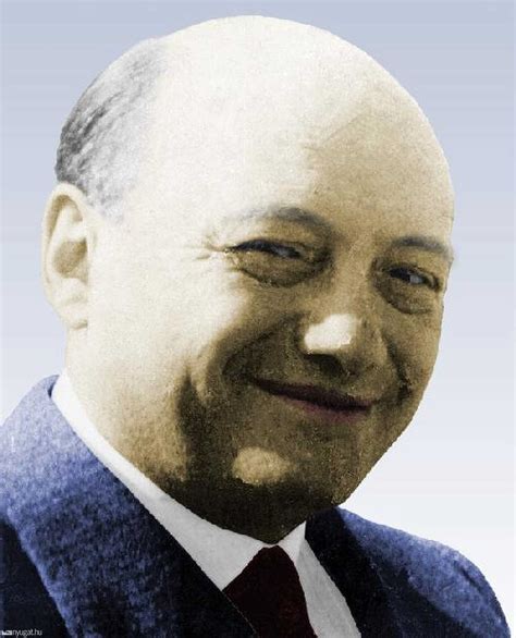 Dr. Pető András portréja
