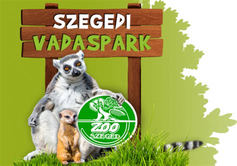 A Szegedi Vadaspark újszülött állatai: kismuflonok, kecskegidák, Bennett-kenguru és prérikutyák