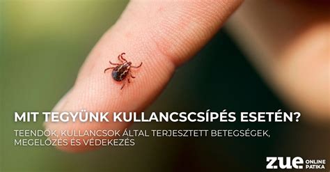 Kullancsok elterjedési területei Magyarországon