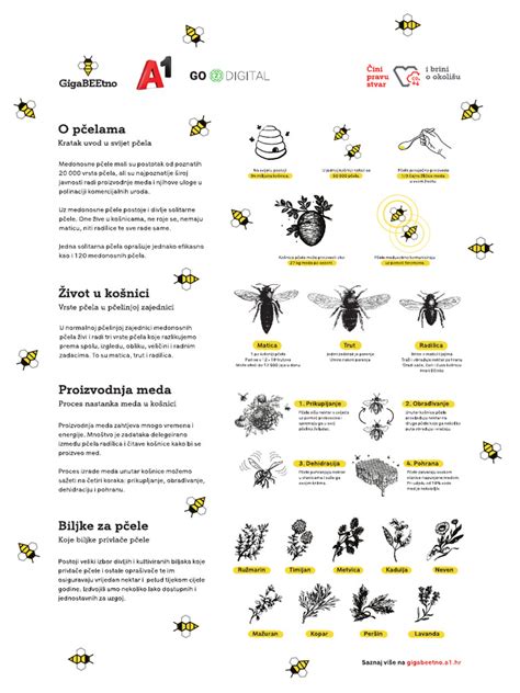 Kromoszómák szerkezetét ábrázoló infografika