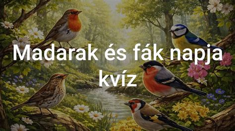 Madarak és rovarok táplálékláncában