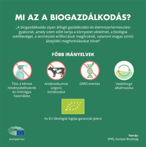 Infografika a védőnői munka főbb területeiről