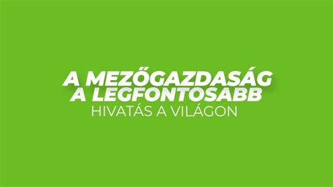 A kisgyermeknevelői hivatás legfontosabb tulajdonságait bemutató séma