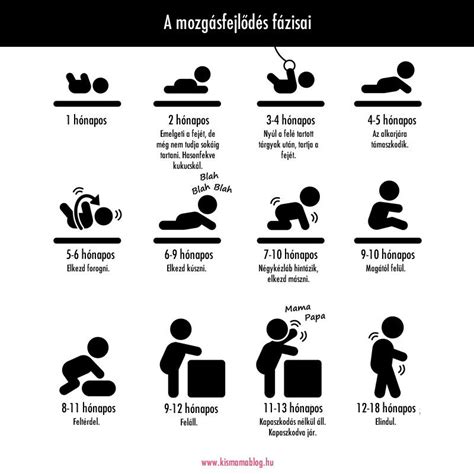Öthónapos baba fejlődési mérföldkövei infografika
