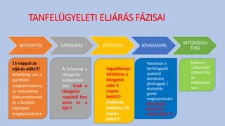 A lombikbébi eljárás fázisai illusztrálva