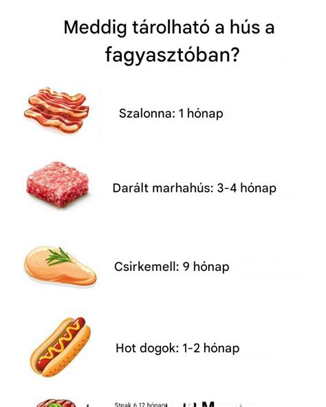 Különböző húsfajták kutyáknak