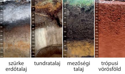Különböző talajtípusok