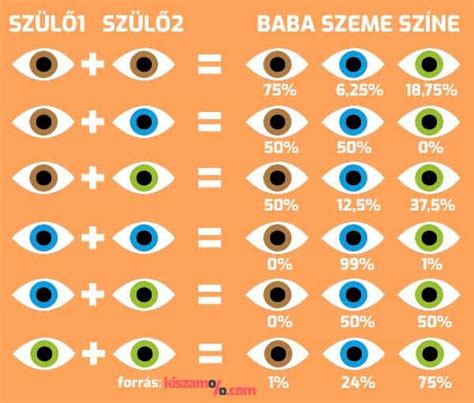 A baba koponyafejlődése és formája