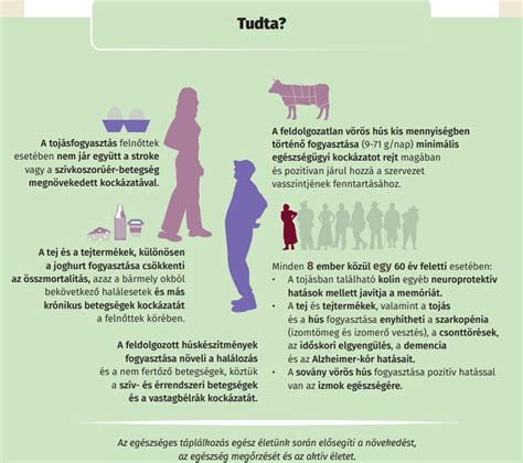 Az embrióadományozás folyamatát szemléltető infografika
