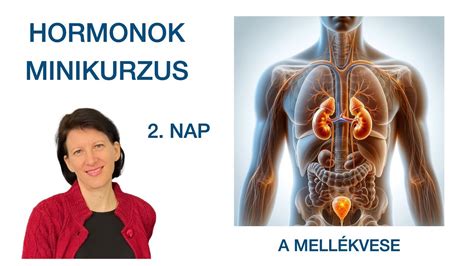 A Montgomery-mirigyek funkciója és elhelyezkedése a mellbimbóudvaron