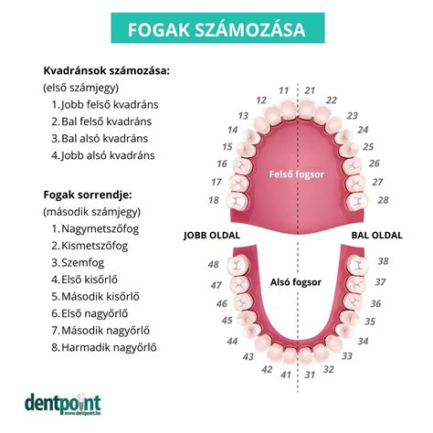 Újszülött fogak