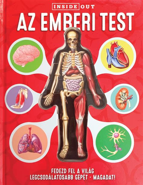Az emberi test vázlata