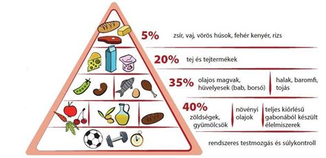 egészséges táplálkozás és kiegészítők koncepciója