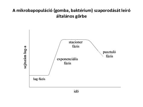 WHO növekedési görbe példa