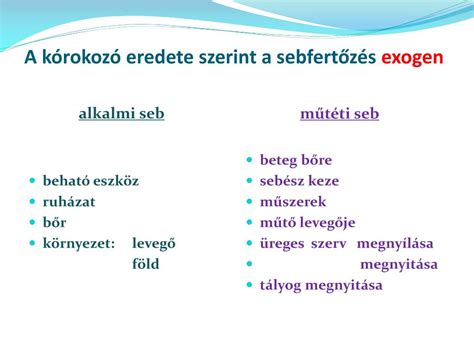 A sebgyógyulás szakaszai