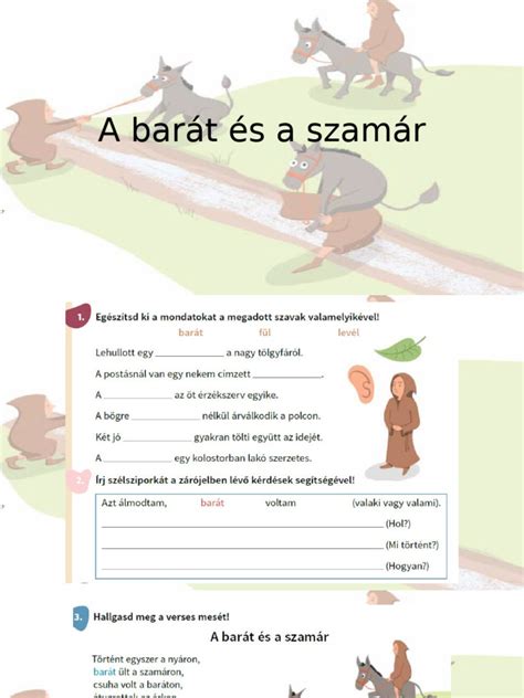 A szamár teherhordó képességei és adaptációja