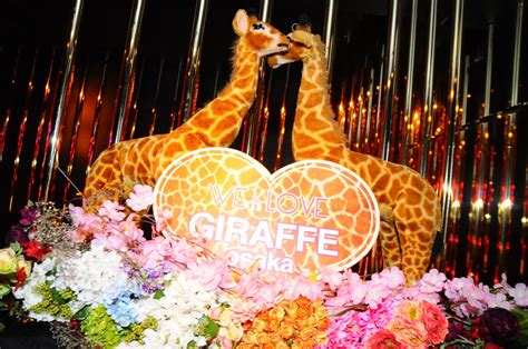 A Giraffe Club SH618 sportrész részletei