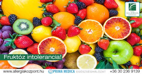 A fruktóz malabszorpció folyamata a bélrendszerben