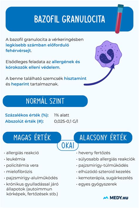 Sikeres ovulációt és fogantatást ábrázoló infografika