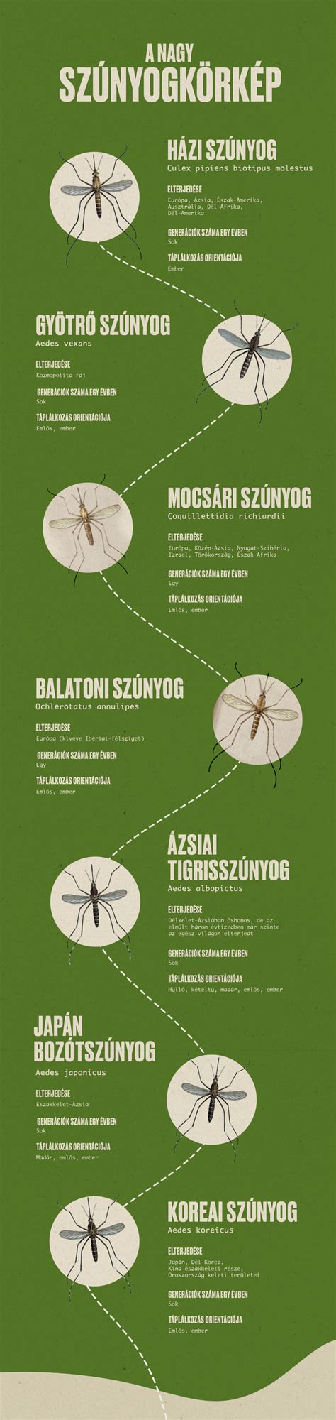 A szúnyogok által terjesztett betegségek térképe