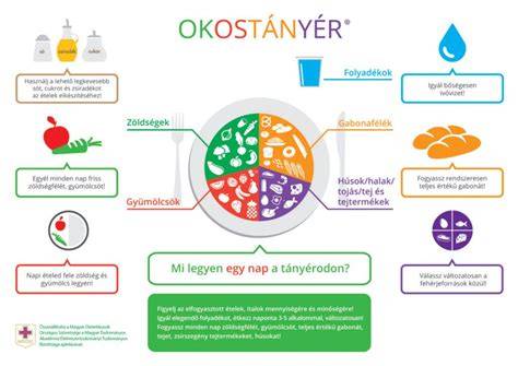 Okostányér illusztráció a gyermekek egészséges táplálkozásáért