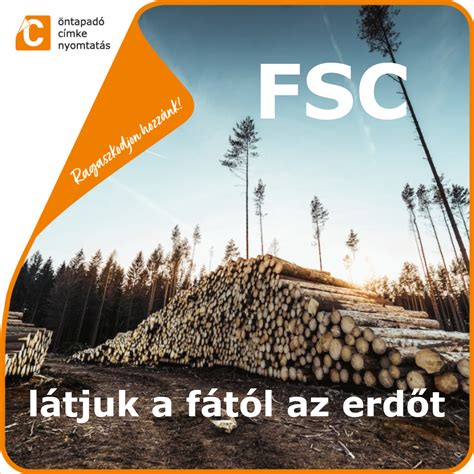 Az FSC tanúsítvány magyarázata