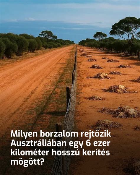 Gyermekek siluettje kerítés mögött