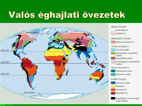 A subchorion hematoma kialakulása és elhelyezkedése