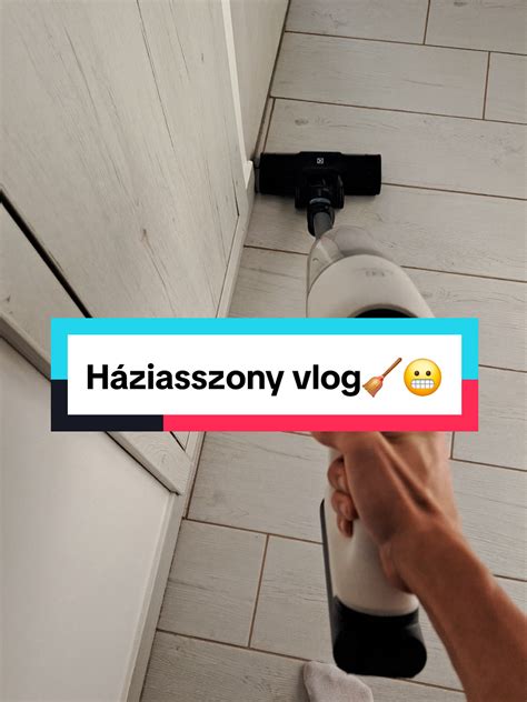 Tippek a FIP megelőzésére többmacskás háztartásban