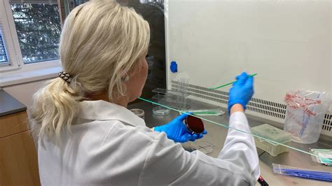 Mikrobiológiai laboratórium
