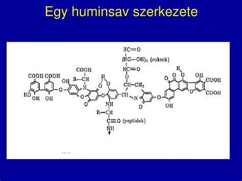 Huminsav szerkezete