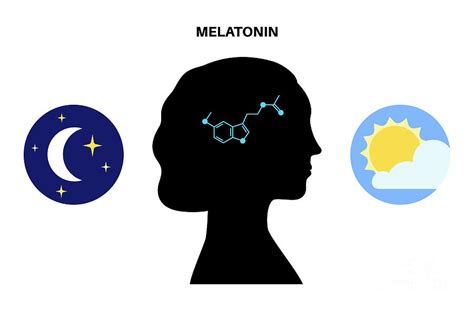 Melatonin hormon és alvás