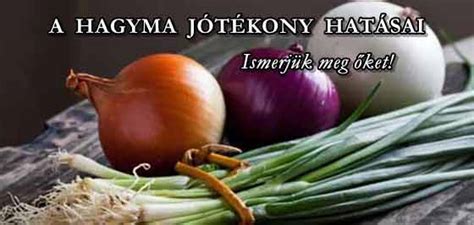 A hagyma jótékony hatásait bemutató infografika