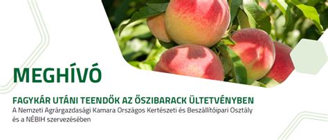 Az autóeladás utáni teendők ellenőrzőlistája