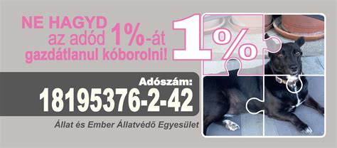 NOÉ Állatotthon Csau csau mentés térkép