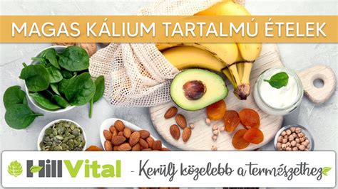 Tejfehérje tartalmú élelmiszerek listája