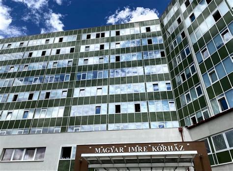 A Szent Imre Kórház mátrix rendszerének sematikus ábrája