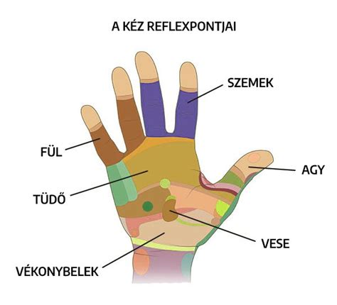 Ujjösszenövés a kézen