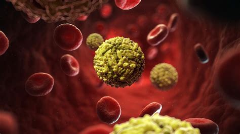 Dengue-láz terjedése térkép