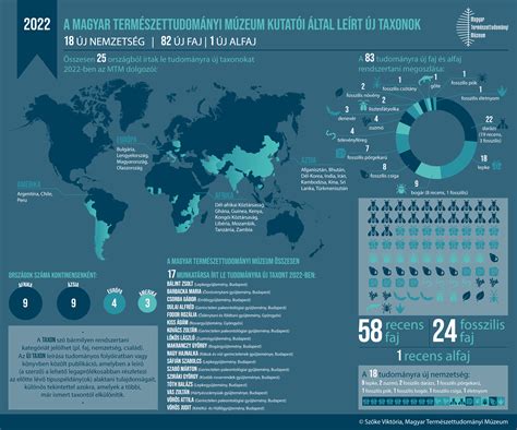 Infografika a koraszülés okairól és kockázati tényezőiről