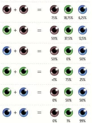 Szemszín öröklődése