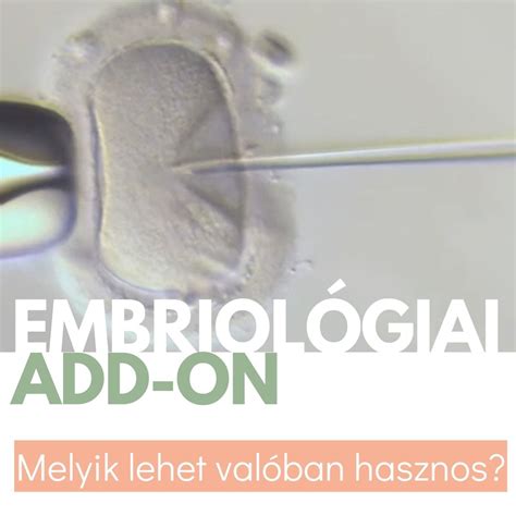 A meddőségi kezelések típusai és az IVF folyamata