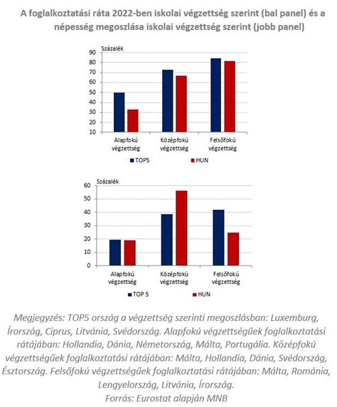 A lombik program statisztikái kor és sikerességi ráta szerint