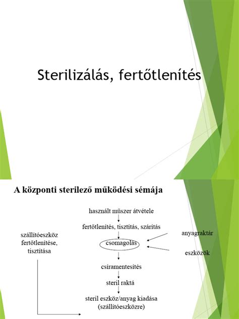 Kifizetői kötelezettségek sémája