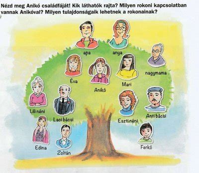 Pókhálószerű grafika, amely a jogi eljárások, a szakértői vélemények és a családi viszonyok szövevényes összefüggéseit ábrázolja.