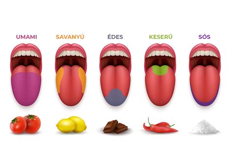 Infografika a lenőtt nyelv lehetséges tüneteiről