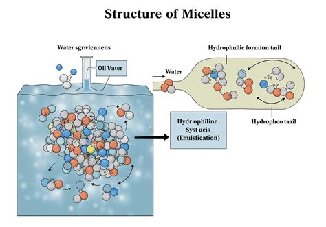 Micella szerkezete vizes oldatban