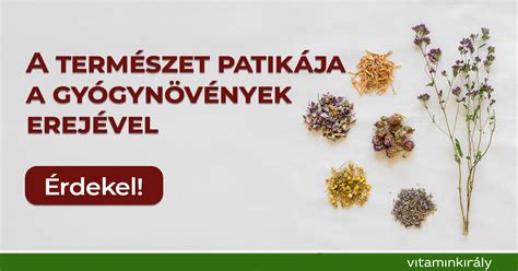 Szülésfelkészítés és természetes támogatás