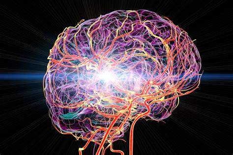 Az agyi stroke típusai és hatásai
