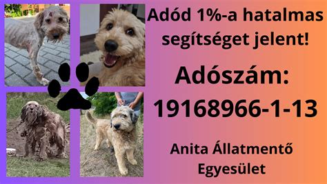 Az anyakutya és kölykei egészségi problémái